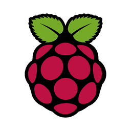 RaspberryPi (IoT) Logo